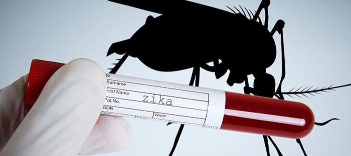 Update on Screening Blood Products for Zika Virus