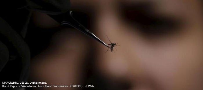 Reported Zika Virus Found in Blood Supply